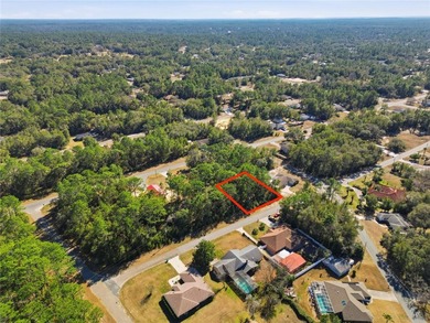 Vacant 0.28-acre residential lot located in the Citrus Springs - photo 4