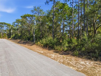 Vacant 0.28-acre residential lot located in the Citrus Springs - photo 5