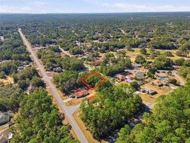 Vacant 0.28-acre residential lot located in the Citrus Springs - photo 8