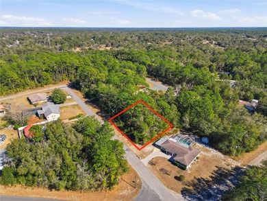 Vacant 0.28-acre residential lot located in the Citrus Springs - photo 9