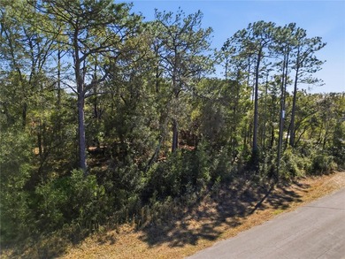 Vacant 0.28-acre residential lot located in the Citrus Springs - photo 10