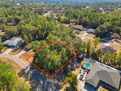 Vacant 0.29-acre lot located in the Citrus Springs community - photo 1