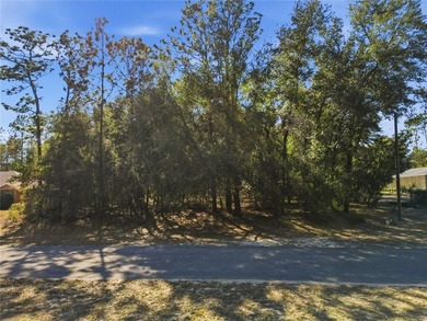 Vacant 0.29-acre lot located in the Citrus Springs community - photo 2