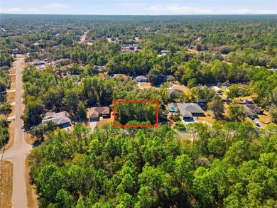 Vacant 0.29-acre lot located in the Citrus Springs community - photo 4