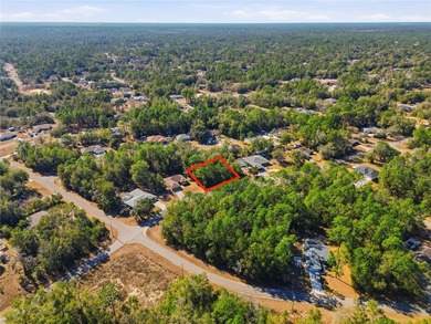 Vacant 0.29-acre lot located in the Citrus Springs community - photo 5