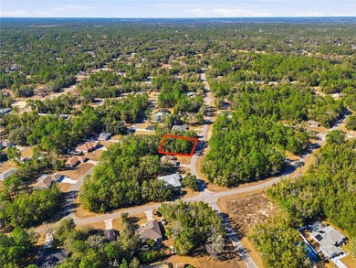 Vacant 0.29-acre lot located in the Citrus Springs community - photo 6