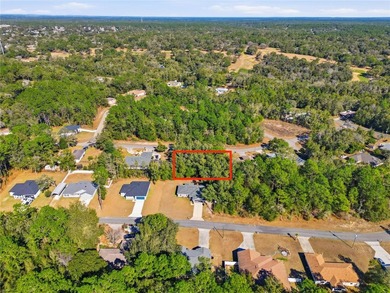 Vacant 0.29-acre lot located in the Citrus Springs community - photo 8