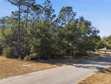 Vacant 0.29-acre lot located in the Citrus Springs community - photo 10