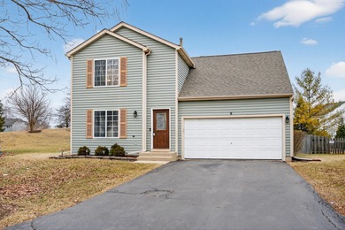 (private lake, pond, creek) Home For Sale in Lake In The Hills Illinois