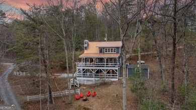 (private lake, pond, coastal) Home For Sale in Morganton Georgia
