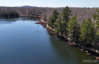 Lake Lot For Sale in Toivola, Michigan