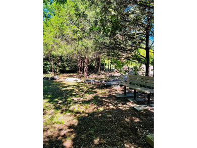 Looking for a walking trail to the lake? You have found it! - photo 13