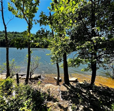 Looking for a walking trail to the lake? You have found it! - photo 17