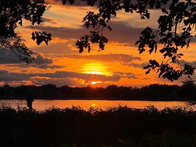 Lake Minnetonka living at its finest. Better than new - photo 3