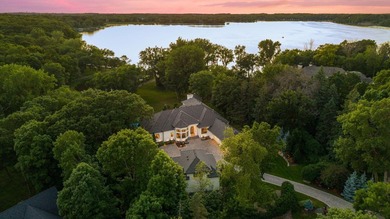 Lake Minnetonka living at its finest. Better than new - photo 7
