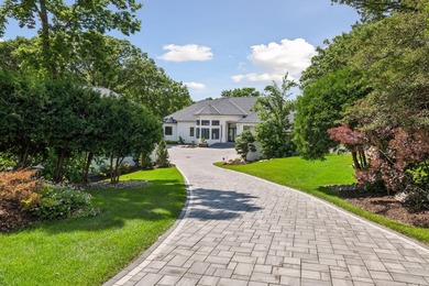 Lake Minnetonka living at its finest. Better than new - photo 9