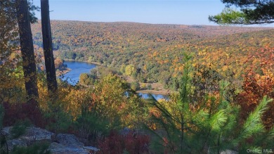 (private lake, pond, creek) Acreage Sale Pending in Narrowsburg New York