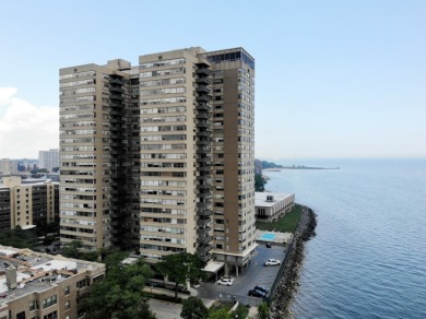 Lake Michigan - Cook County Condo For Sale in Chicago Illinois