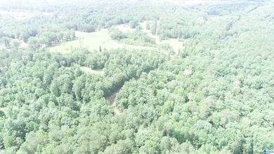 Awesome property consisting of 37.48 acres, a 20 x 40 pole barn - photo 12