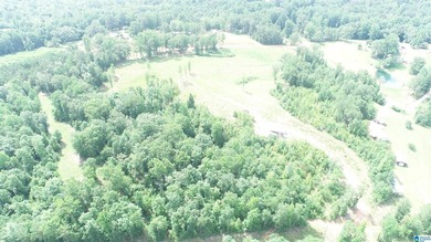 Awesome property consisting of 37.48 acres, a 20 x 40 pole barn - photo 13