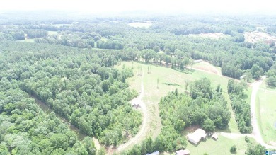 Awesome property consisting of 37.48 acres, a 20 x 40 pole barn - photo 14