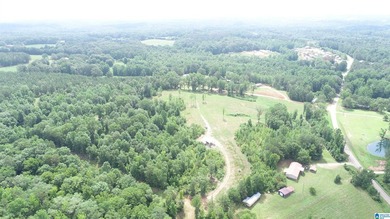 Awesome property consisting of 37.48 acres, a 20 x 40 pole barn - photo 15