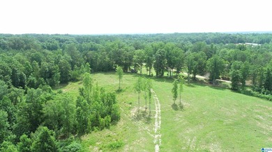Awesome property consisting of 37.48 acres, a 20 x 40 pole barn - photo 16
