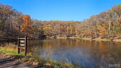 Lake Sherwood Lot For Sale in Lake Sherwood Missouri