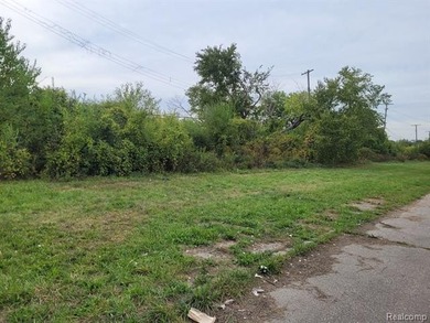 Detroit River Lot For Sale in Detroit Michigan