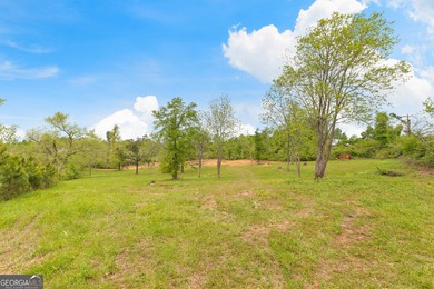 (private lake, pond, coastal) Acreage For Sale in Newnan Georgia