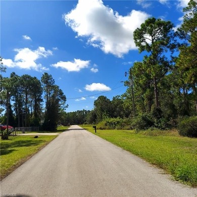 Lehigh Acres Area Lot For Sale in Alva Florida