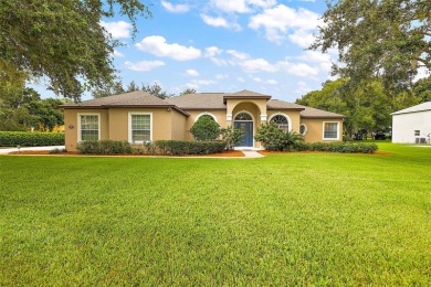 Lake Home For Sale in Yalaha, Florida