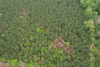 Located in the heart of Simpson County, this 53.2-acre spread is - photo 11