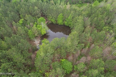 Located in the heart of Simpson County, this 53.2-acre spread is - photo 14