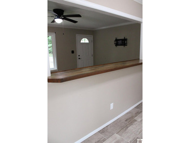 Welcome to 619 Lakeshore Drive in the Pine Bluff Shores - photo 14