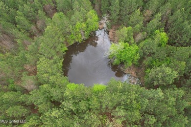 Located in the heart of Simpson County, this 53.2-acre spread is - photo 15