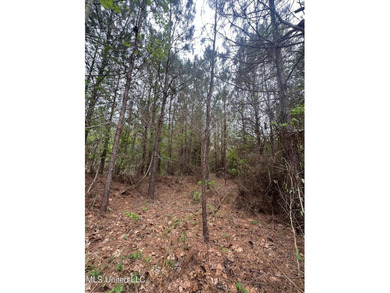 Located in the heart of Simpson County, this 53.2-acre spread is - photo 16