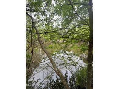 Located in the heart of Simpson County, this 53.2-acre spread is - photo 17