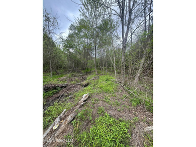 Located in the heart of Simpson County, this 53.2-acre spread is - photo 20