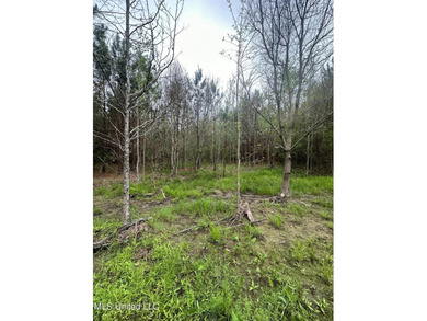 Located in the heart of Simpson County, this 53.2-acre spread is - photo 21
