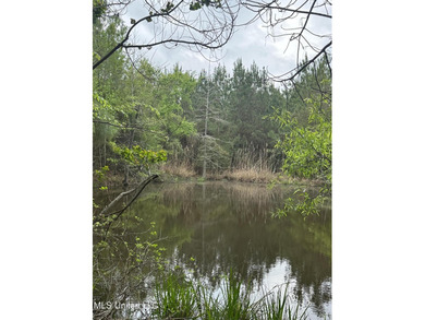 Located in the heart of Simpson County, this 53.2-acre spread is - photo 22