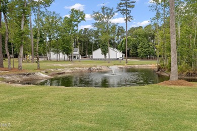 Looking for a property with lots of beautiful - photo 4