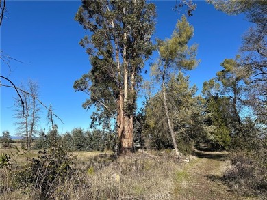 5235 Gaddy - photo 42