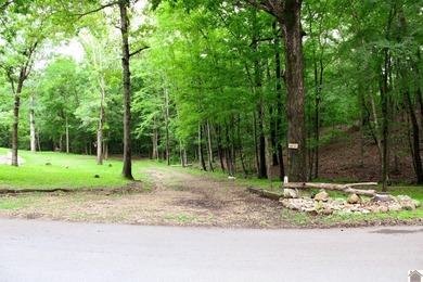 Welcome to 619 Lakeshore Drive in the Pine Bluff Shores - photo 42