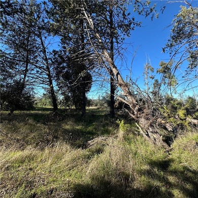 5235 Gaddy - photo 44