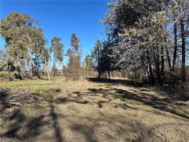 5235 Gaddy - photo 45
