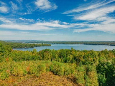 Lake Acreage For Sale in Otisfield, Maine