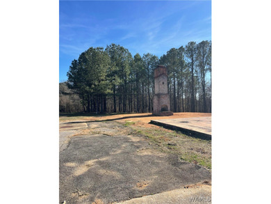 Located at the corner of Hwy 69 and Buster Tierce Rd, this 4 - photo 3