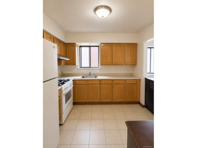 Great investment opportunity in the heart of Flushing. This - photo 17