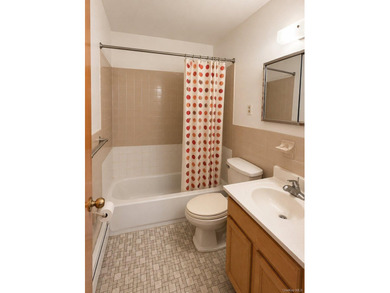 Great investment opportunity in the heart of Flushing. This - photo 19